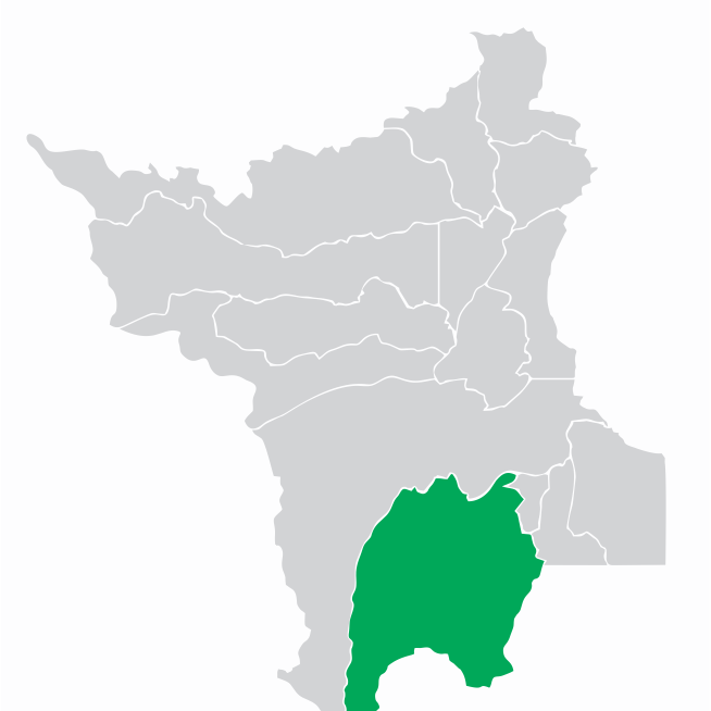 Mapa Municipios_Rorainópolis
