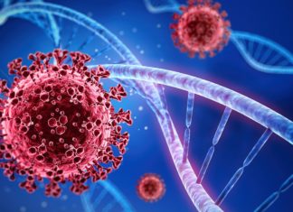 Covid-19: aulas presenciais já tiveram início em ¼ dos Municípios e 95,5% vacinam crianças de 5 a 11 anos