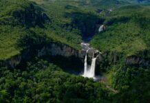 Florestas e Água: uma conexão essencial para a gestão e sustentabilidade municipal