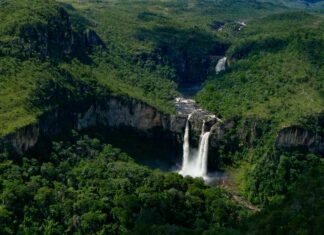 Florestas e Água: uma conexão essencial para a gestão e sustentabilidade municipal