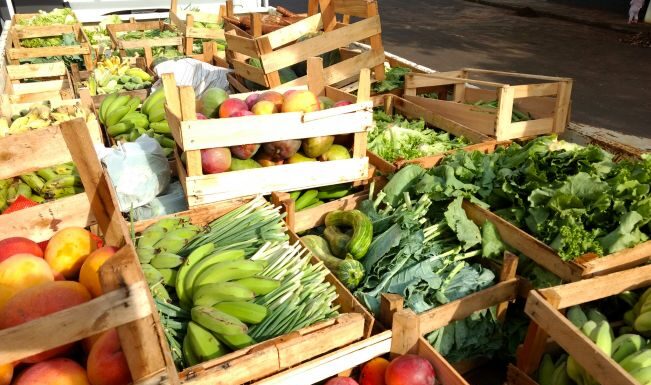 Programa de Aquisição de Alimentos: confira regras e prazos para execução em Municípios prioritários